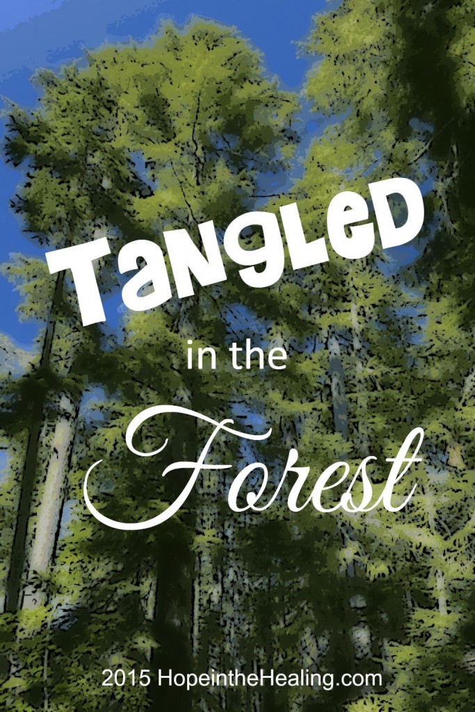 Tangled in the Forest