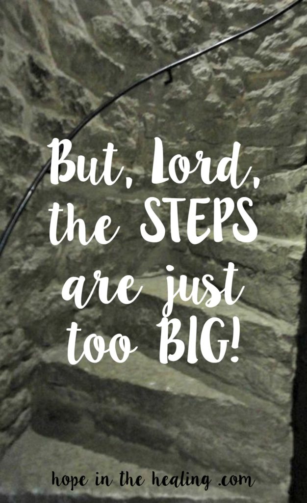 But Lord, the steps are just too big!